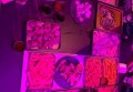 如何招聘企划文案（创新策略：打造吸睛招聘文案的秘诀）