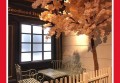 山谷保安队长招聘条件（山谷守护者招募：保安队长岗位申请要求）